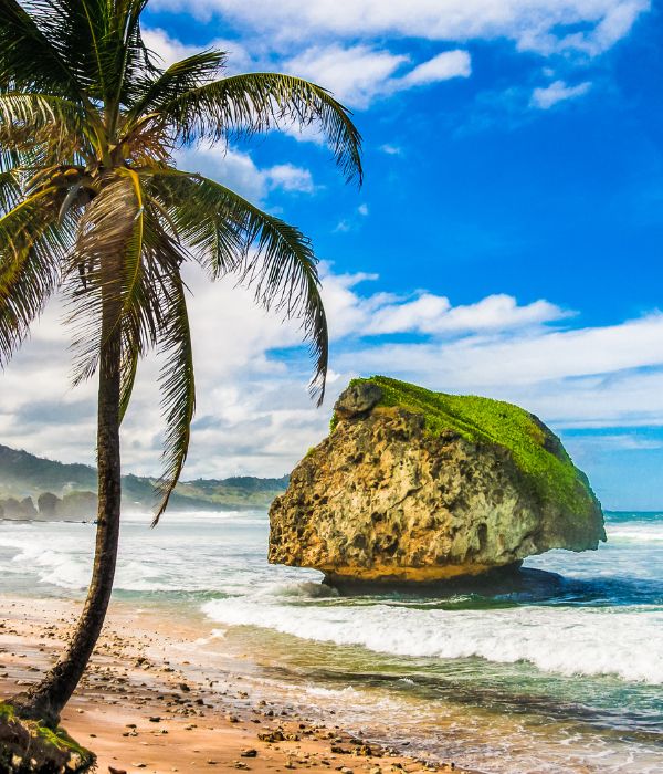 Atlantic waves constantly erode the base on a gigantic boulder on the island of Barbados. Sherri Lavigne, owner and travel advisor at Have Sherri, Will Travel will help you experience all Barbados has to offer!