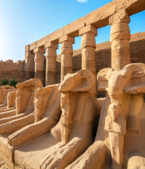 There are two main tourist attractions in Egypt: Luxor and Cairo. Today’s adventure is happening in Luxor. There is so much history in this one spot and is spread out in different areas, let Sherri Lavigne, travel advisor and owner of Have Sherri, Will Travel, help you make sure experience all that Egypt has to offer.