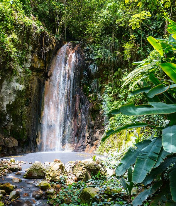 Saint Lucia Diamond Falls Botanical Gardens is another must-see. Get your camera ready and take this picturesque tour and see beautiful tropical plants and gardens. And, of course, the Diamond Falls themselves will be a picture-perfect scene. The falls are so picturesque they were used in a scene for the movie Romancing the Stone.