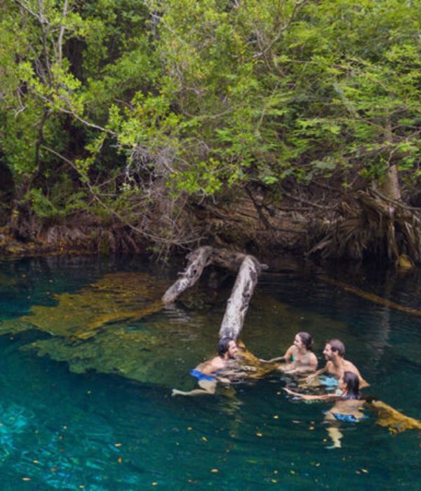 This is one of those hidden gems that makes you feel like you've stumbled upon a secret paradise. The Indigenous Eyes Ecological Reserve is a sanctuary of 12 freshwater lagoons, surrounded by lush greenery. Have Sherri, Will Travel will help you experience this on your next Punta Cana vacation.