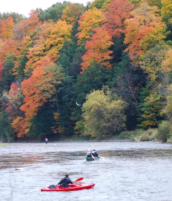 Two kayakers enjoying the fall foliage.
