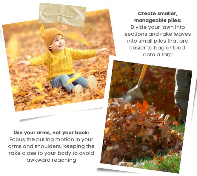 Two polaroid images with text. The first image is of a little boy smiling, wearing a yellow sweater and hat and blue jeans, sitting in autumn leaves with leaves fluttering down around him. The next photo is showing the legs of someone raking a pile of leaves. There are two sections of text. The first set of text reads: Use your arms, not your back: Focus the pulling motion in your arms and shoulders, keeping the rake close to your body to avoid awkward reaching. The second set of text reads: Crete smaller, manageable piles: Divide your lawn into section and rake leaves into small piles that are easier to bag or load into a tarp.